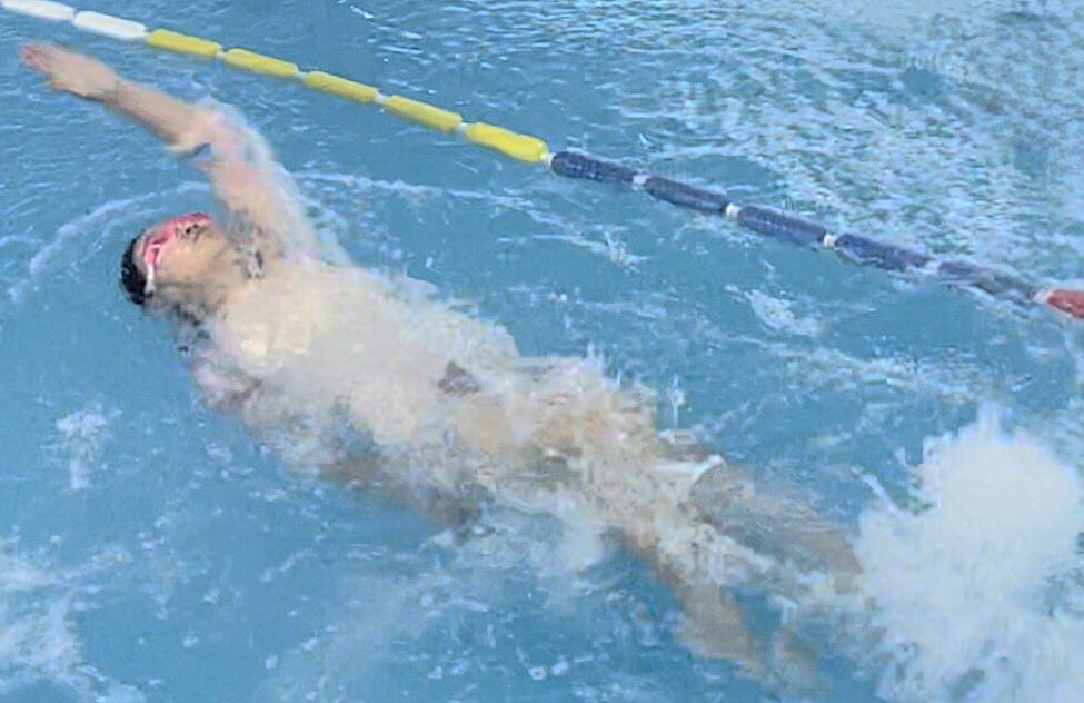 Dolphin level in action